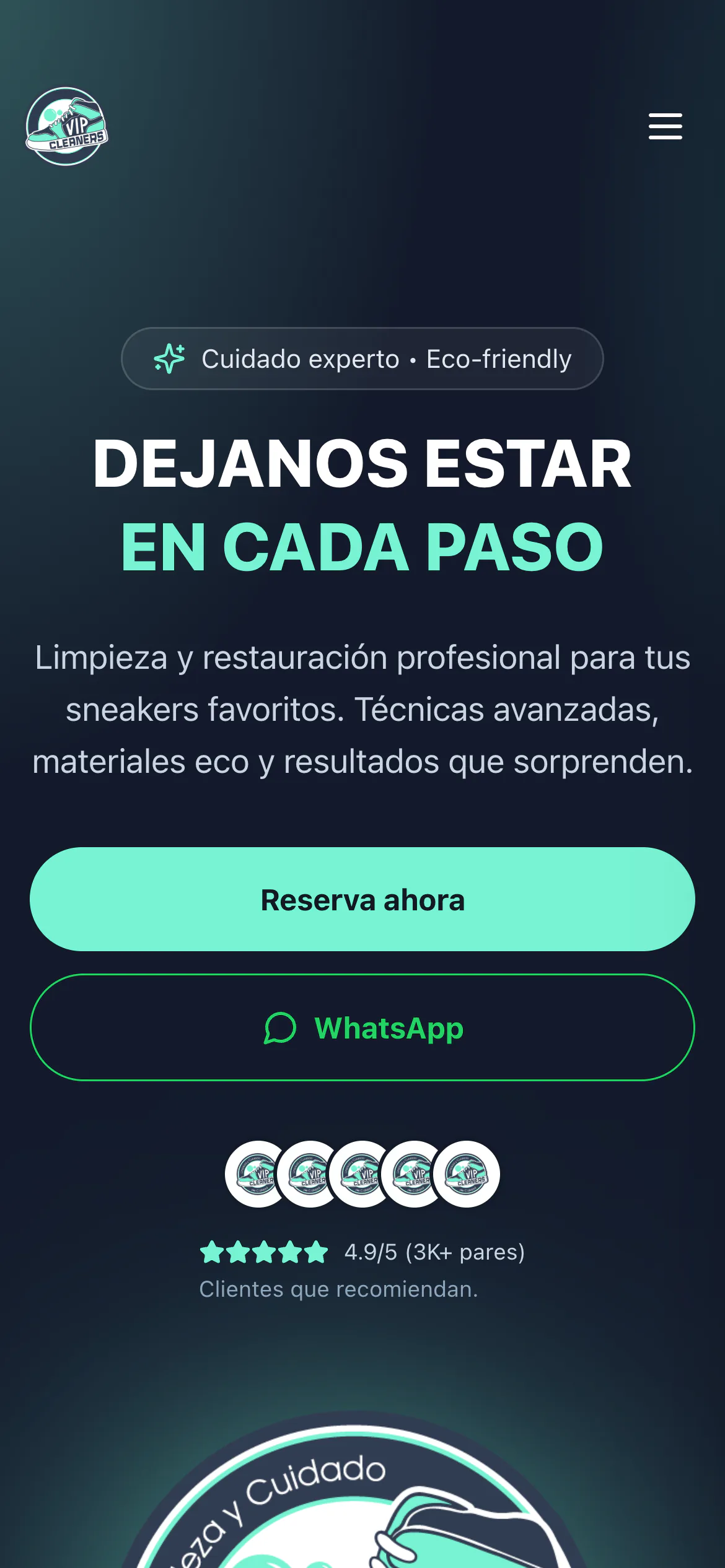 VIP Cleaners POS — móvil
