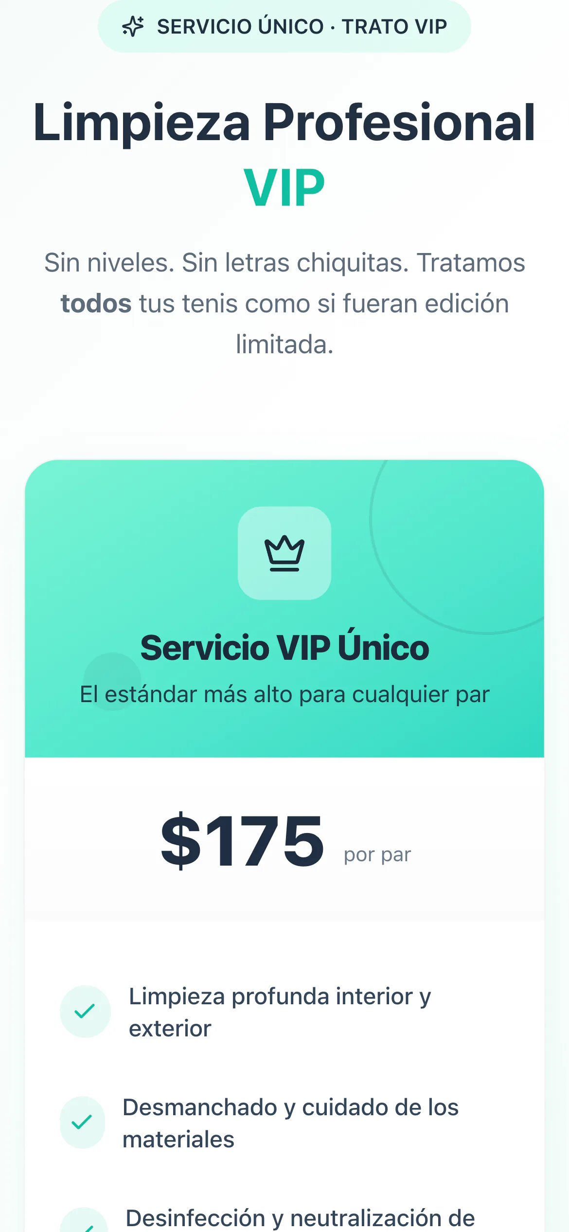 VIP Cleaners POS — móvil 2