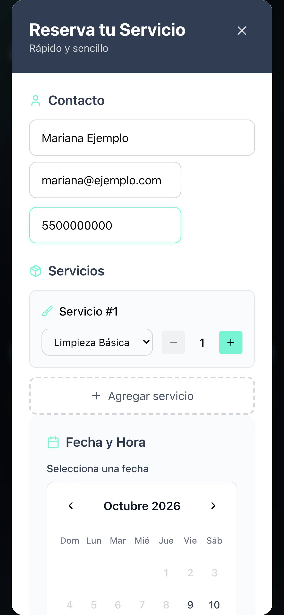 VIP Cleaners POS — móvil 3