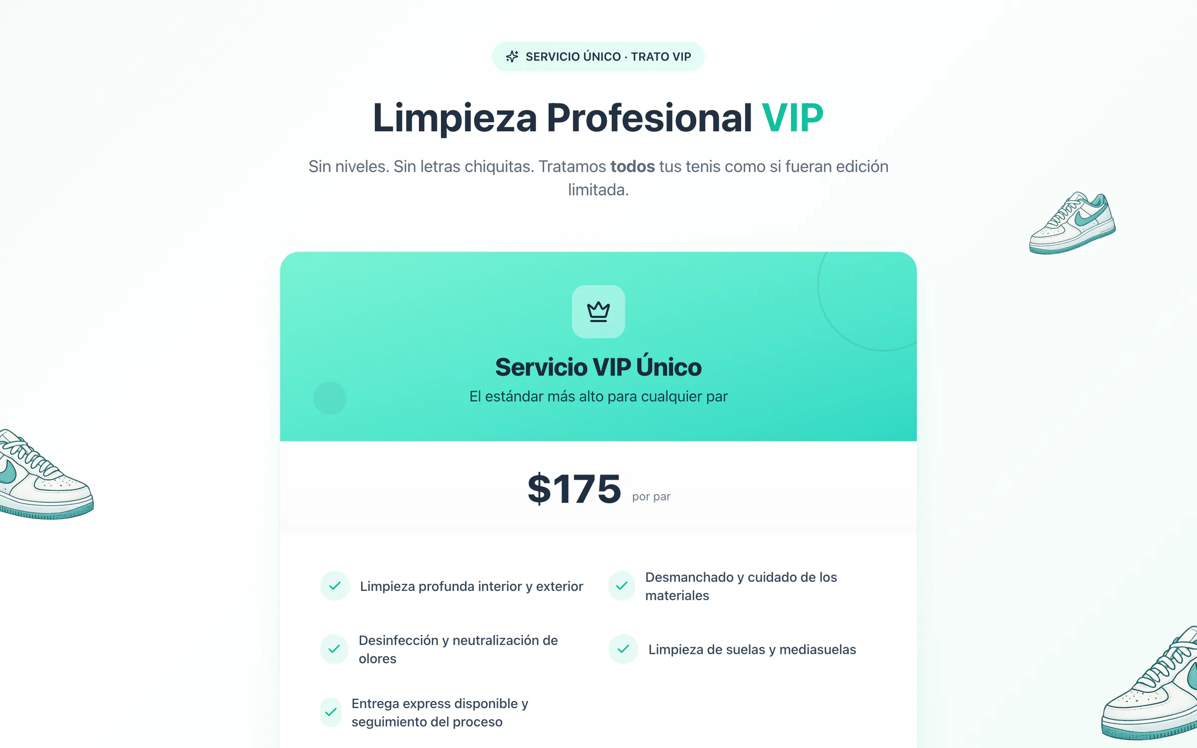 VIP Cleaners POS — 3